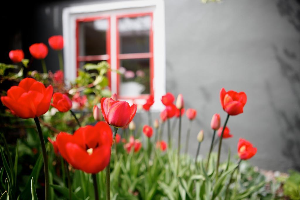 Vaxholms Bed & Breakfast 외부 사진